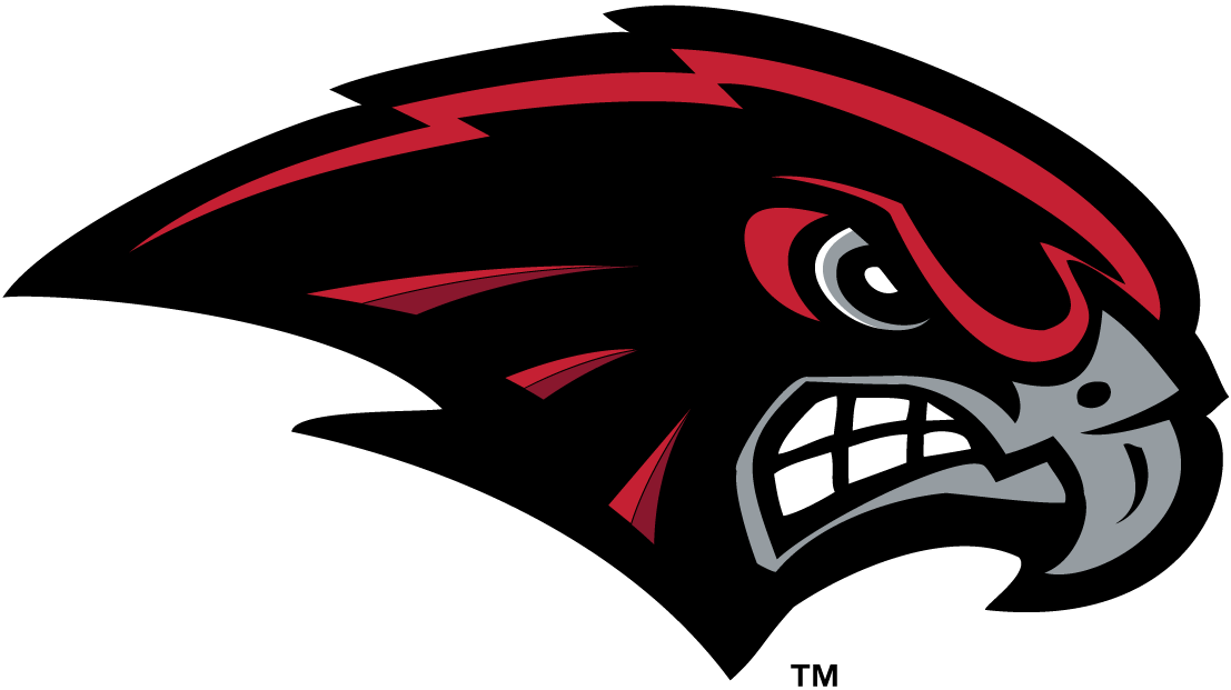 Utah Utes 2010-Pres Mascot Logo v6 diy iron on heat transfer
